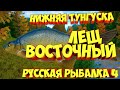 русская рыбалка 4 - Лещ Восточный Нижняя Тунгуска - рр4 фарм Алексей Майоров russian fishing 4