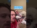 Human to Dog Translator! 🐶