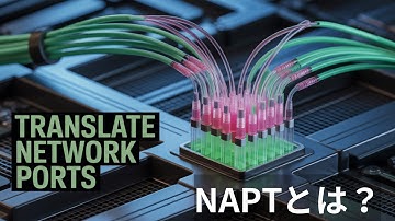 NAPTとは？これだけで午後が解ける！