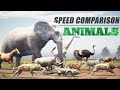 Animals speed comparison  speed of animals 3d comparison