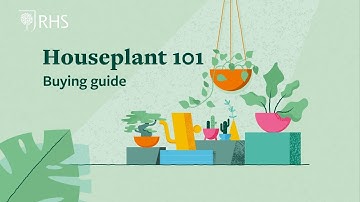 Tips to buy the right houseplants for your home | Houseplant 101 | The RHS