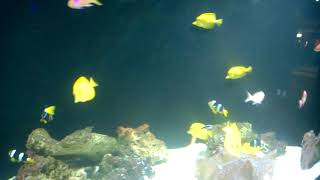 WP 20140611 11 30 41 Pro