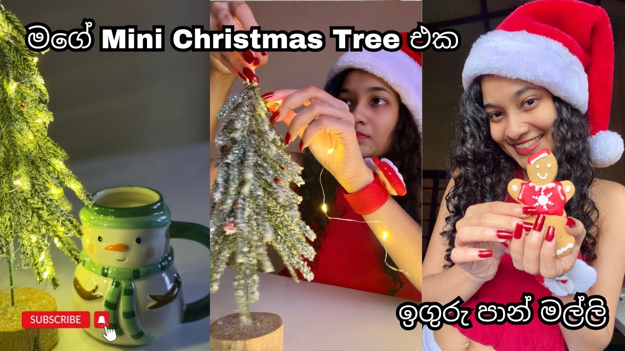 මගේ Mini Christmas Tree එක🎄☃️ ඉගුරු පාන් මල්ලි ❤️ Bread Talk එකේ Christmas cake 🍰 #vlog #christmas