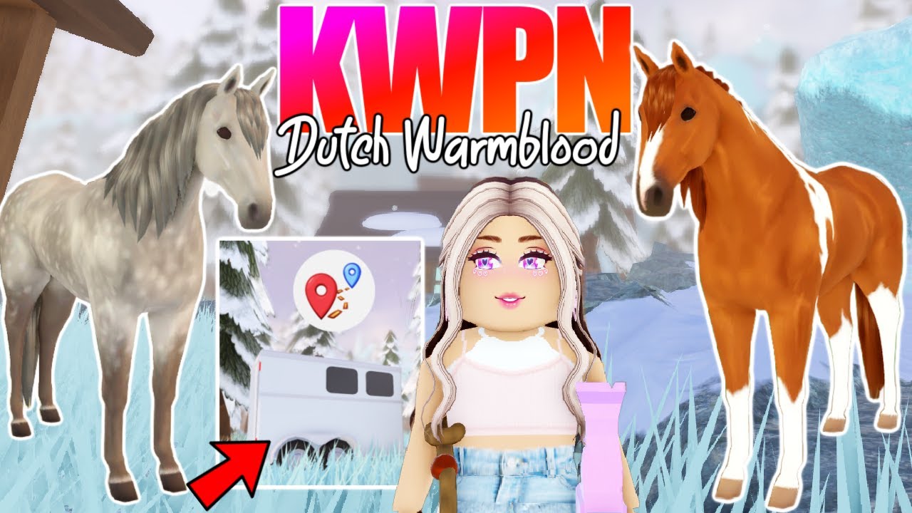 wir fangen das 🅽🅴🆄🅴 KWPN 🐴 (Dutch Warmblood) Wild Horse Islands 🌴 Update Roblox