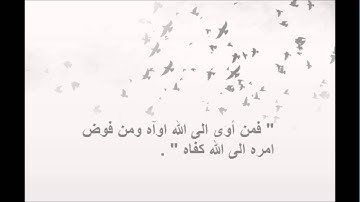 قران القارئ محمد النقيب