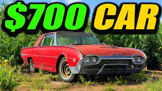 I Bought a $700 Thunderbird That Sat for 16 Years! (BRINGING IT BACK TO LIFE!)
