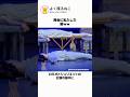 舞台に乱入した猫ｗｗ