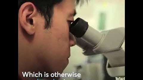 Neural dust is a tiny sensor that can analyze brain data