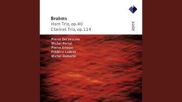 Clarinet Trio in A Minor, Op. 114: I. Allegro