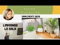 RUTINA DE LIMPIEZA EN PRIMAVERA FACIL Y NATURAL /NECESITO SU OPINION