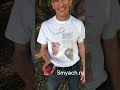 🔥 "СМЯЧ — кистевой тренажёр, который не хочется выпускать из рук!" #shortvideo