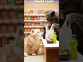 ㊗️600万回再生🏪リミックス版🎵ミニチュア猫コンビニでお買い物🐈🐾Miniature Cat Shopping – Remix Ver. #aicat #ai猫 #cat