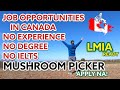 JOB OPPORTUNITIES IN CANADA | BUHAY CANADA | MAPLESUNTV #6