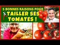 Tomates : 5 bonnes raisons pour les tailler ! 🍅🍅🍅