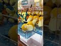 クレーンゲームプロ 風の王かけぞう 本日の釣果 その2 コダック ポケットモンスター ポケモン