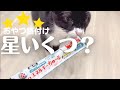 1箱5000円が無駄に？！猫大好きちゅーる：「病院用ちゅーる」を箱買いした結果がこちらです…1匹しか食べません