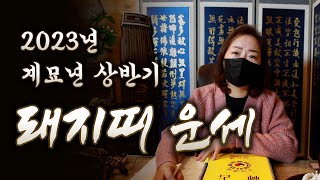 (유명한점집)(띠별운세) 2023년 상반기 돼지띠 운세!!
