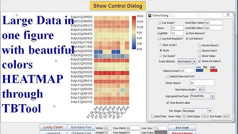 Genome wide study Part 21 | heatmap | how to make Heatmap | heat map using TBTool