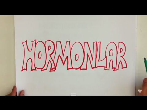 4dk'da HORMONLAR