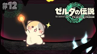 【ティアキン】#12 まさかの展開！！いざゆかん🍣【ゼルダの伝説TOTK/ティアーズオブザキングダム/むぅたま VTuber】