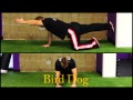 Personal Trainer Home Toning Workout   Old Bridge, NJ