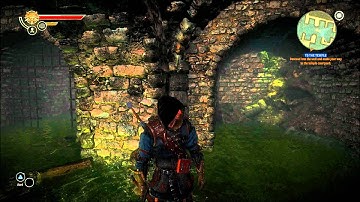 PC game, Witcher 2 After the 2.0 Patch