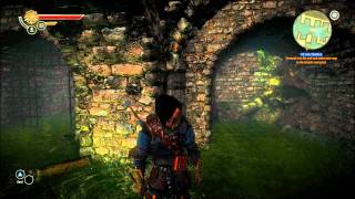 PC game, Witcher 2 After the 2.0 Patch