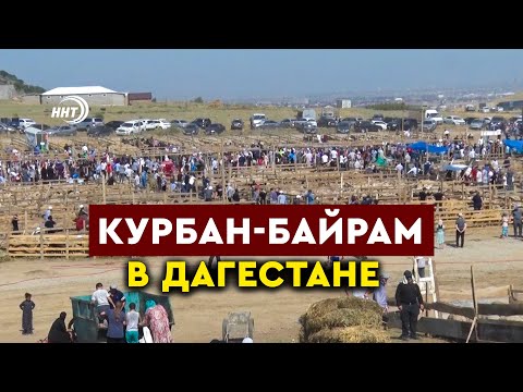 Курбан-Байрам в Дагестане. Мусульмане отмечают главный праздник Ислама