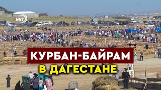 Курбан-Байрам в Дагестане. Мусульмане отмечают главный праздник Ислама