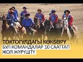 Толук: Тоо жамынган көкбөрү (Токтогулдагы видеовлог)