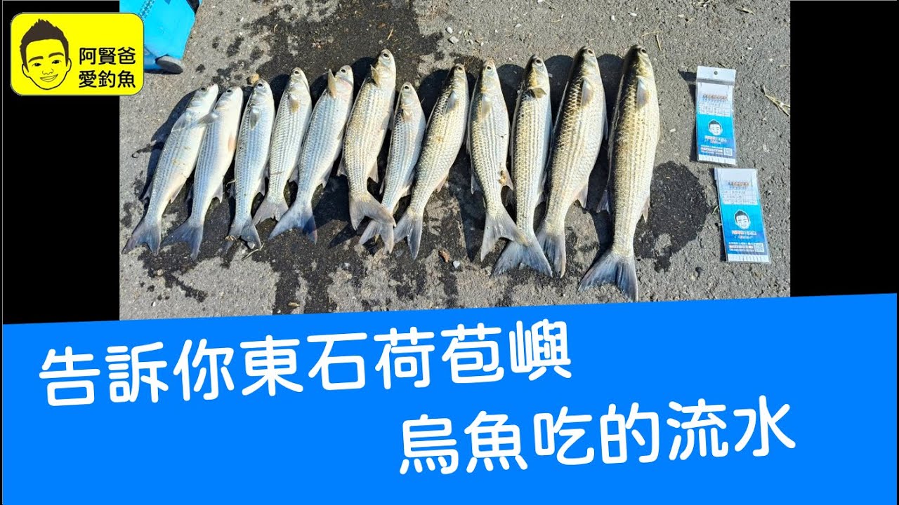 【阿賢爸】愛釣魚 Ep.450 告訴你東石荷苞嶼  烏魚吃的流水