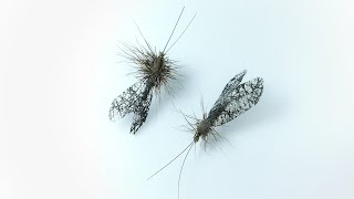 Black wings Sedge fly tying