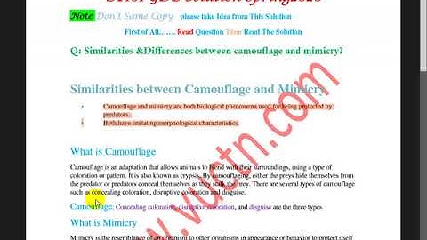 BT101 GDB Solution Spring2020