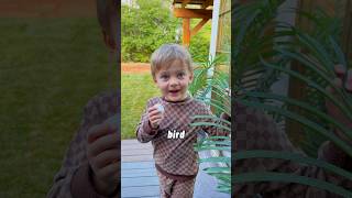 Welcome our newest backyard edition!🦜 @birdfy_by_netvue  #birdfy #birdfeedercamera #kids