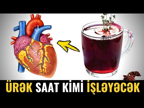 Video: Bir qabda zoğal yetişdirə bilərsiniz: Konteynerdə yetişdirilən zoğal bitkiləri haqqında məlumat əldə edin