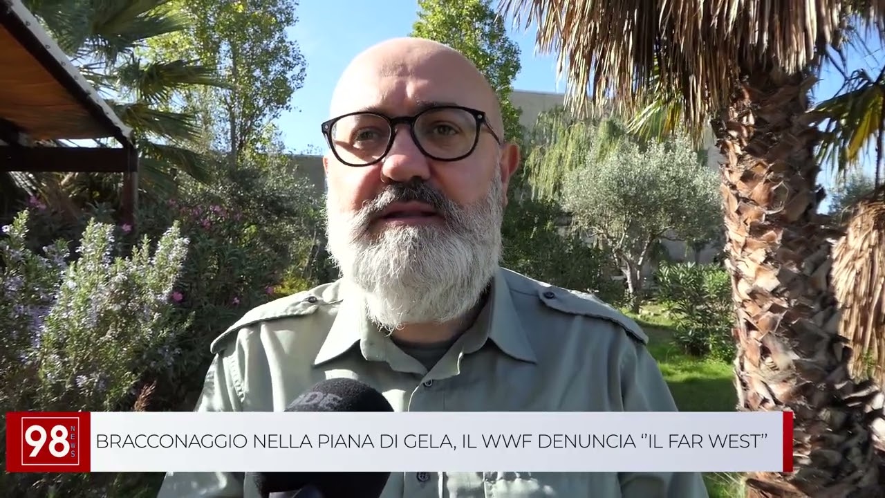 BRACCONAGGIO NELLA PIANA DI GELA, IL WWF DENUNCIA ‘’IL FAR WEST’’