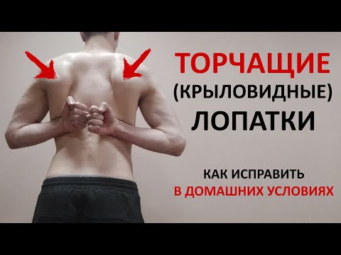 Видео: Как сломать лопатки: 11 шагов (с иллюстрациями)