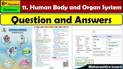 11. Human Body and Organ System | Class 8 | Science | Question Answers | Maharashtra State Board