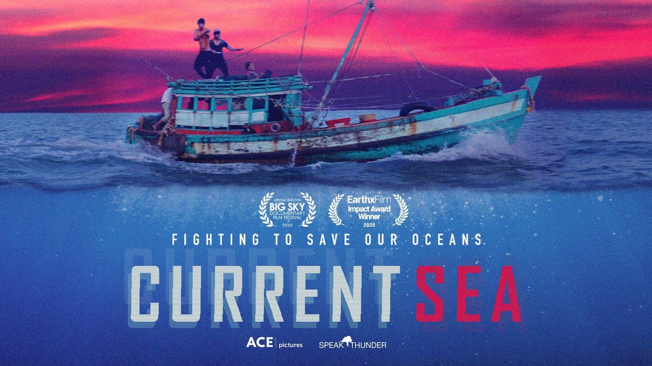Current Sea - D.C. Environmental Film Festival Q&A