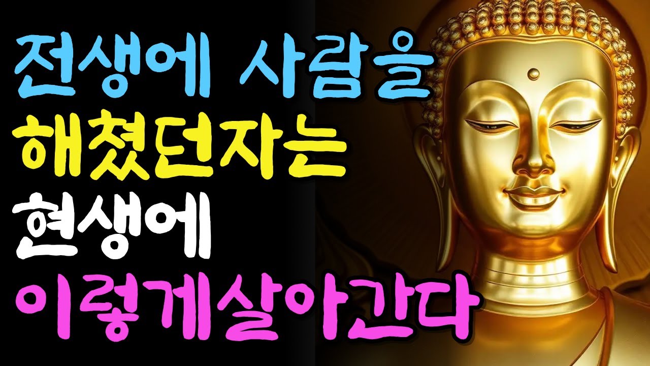 전생에 남을 해쳤던 사람은 현생에 이렇게 살아간다 | 부처님지혜 | 부처님말씀 | 석가모니 가르침 | 인생조언 | 불교철학 | 마음챙김 | 오디오북