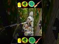 Angelina Spider Cat Gaming Player In Oll Weapons Full Attack End!!🐊😰 apk #shorts #funny #gameing
