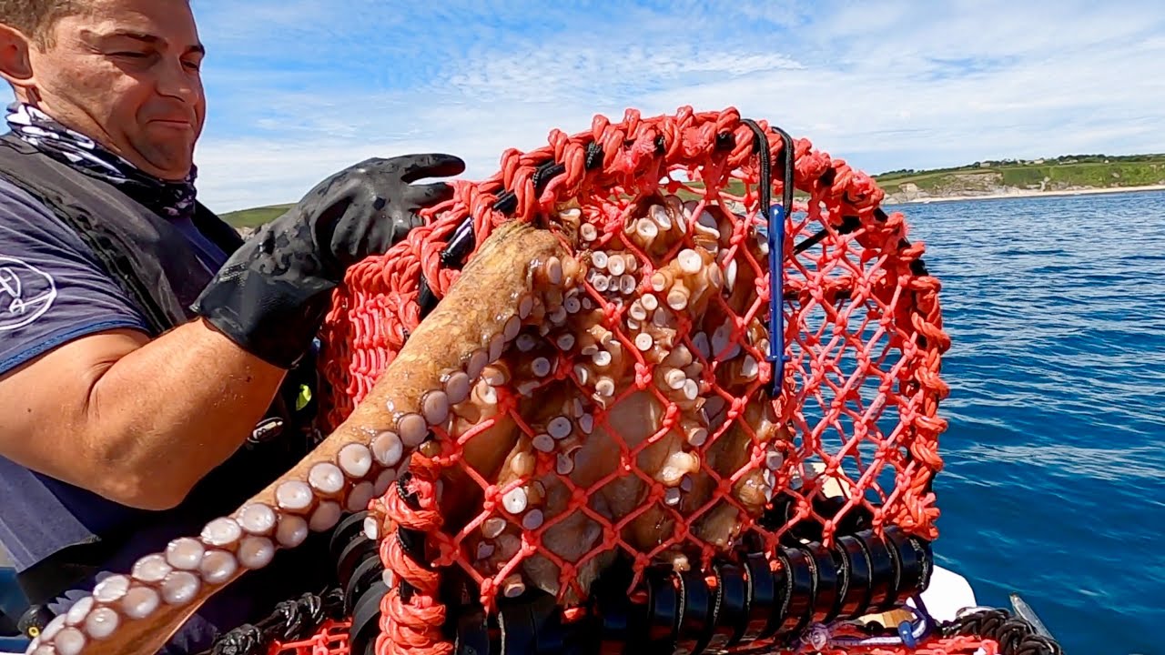 THIS CAN SAVE A LOT OF FISH!!! Simple Device saves fish lives | The Fish Locker