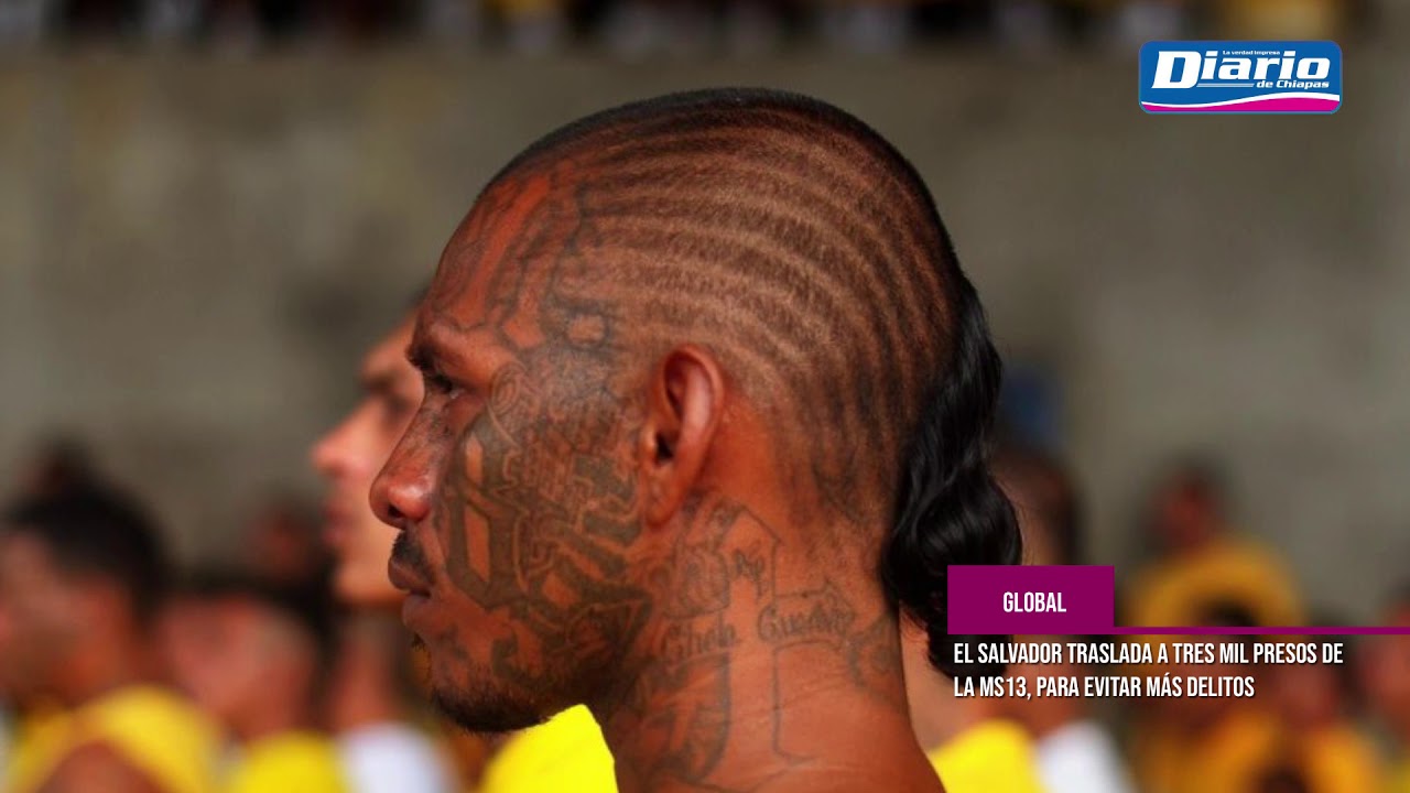 🚨 #DesdeLaRedacción. Lo mejor de las noticias mexico primera division