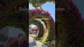 World’s biggest flower garden 🌺 #dubai #uae #palmjumeirah #miracle #flowergarden #vlog #dubaiblog