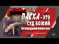 ПАСХА - ЭТО СУД БОЖИЙ ПРОШЕДШИЙ МИМО НАС