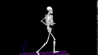 Slow Motion Running in Visual 3D