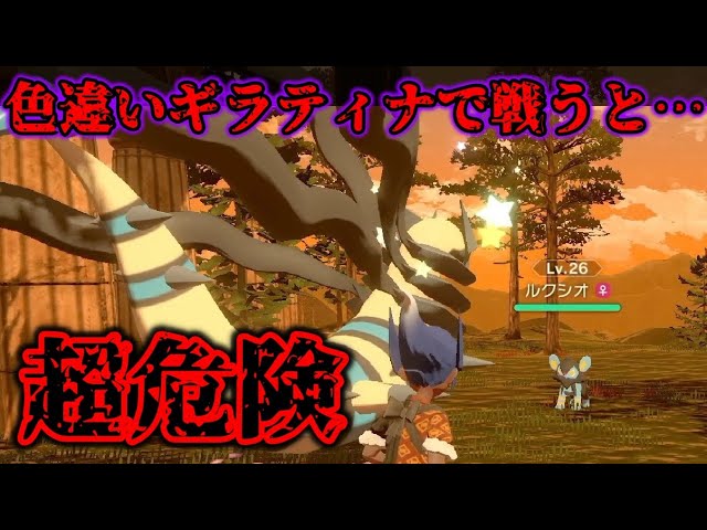 【危険注意】色違いギラティナを戦闘に出したらヤバすぎることになった…【ポケモンレジェンズアルセウス】