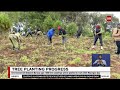 Environment CS 100M Tree Seedlings To Be Planted To Mark 2025 Mazingira Day 