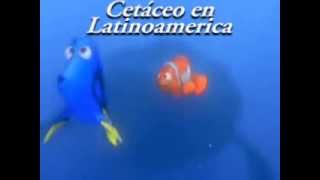 Buscando A Nemo Latino Vs Español España