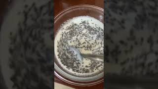 ? MANGO CHIA SEED PUDDING food satisfying healthy cooking lifestyle tasty breakfast foodie